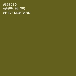 #63601D - Spicy Mustard Color Image